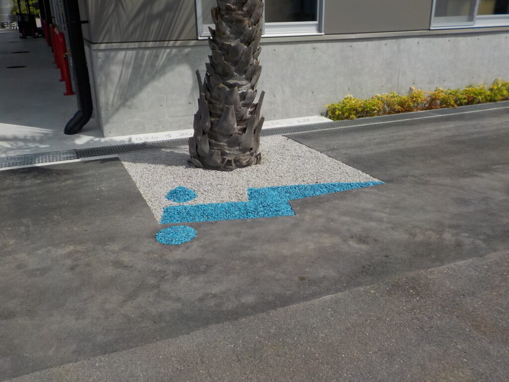 DSCN2880