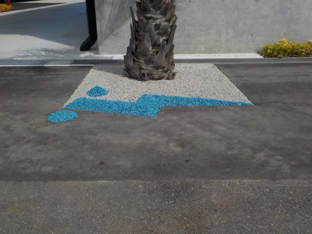 DSCN2881
