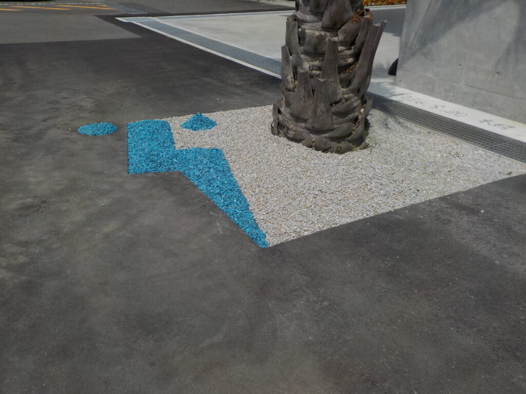 DSCN2882
