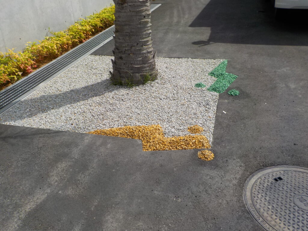 DSCN2883