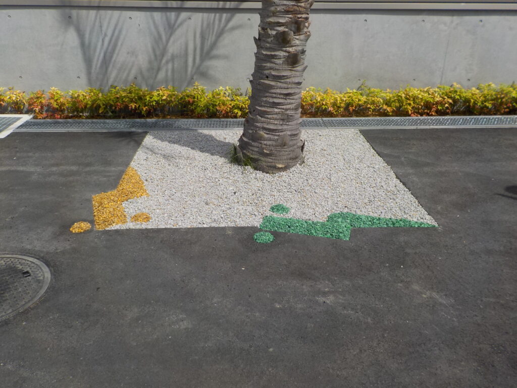 DSCN2884