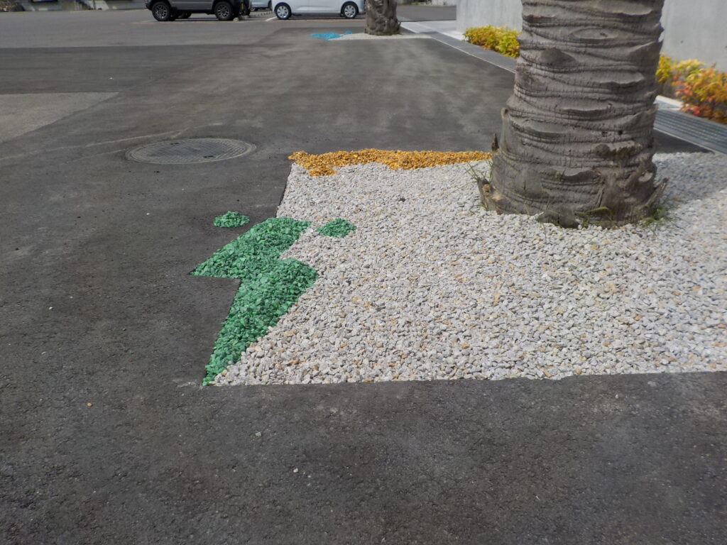 DSCN2885