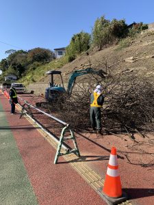 F邸樹木伐採工事