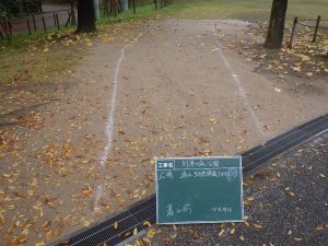 2016/11/30 到津の森公園